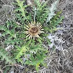 Un Balcon Entre Causses Et Rougiers