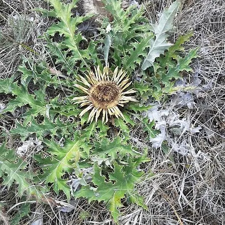 Un Balcon Entre Causses Et Rougiers